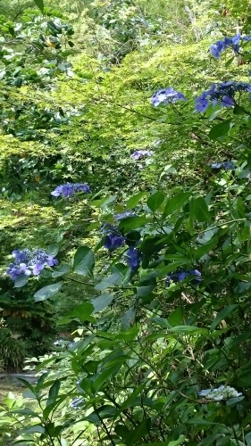 e0351303_23173413.jpg