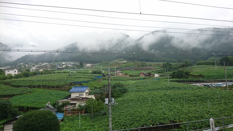 b0293908_01012518.jpg