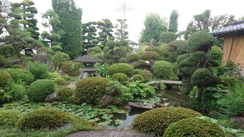 b0293908_01094291.jpg