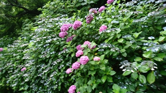 d0249708_16032990.jpg