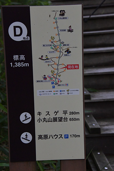 a0278809_11280490.jpg