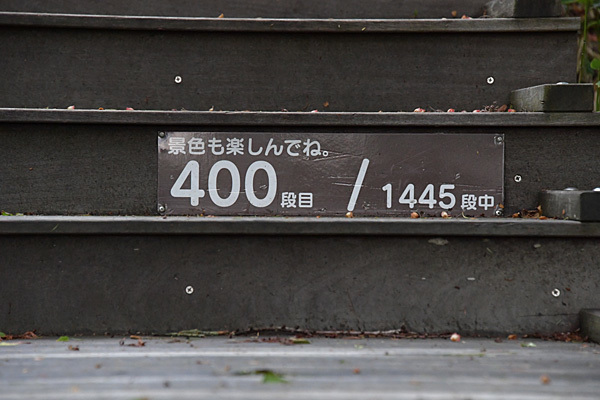 a0278809_11282543.jpg