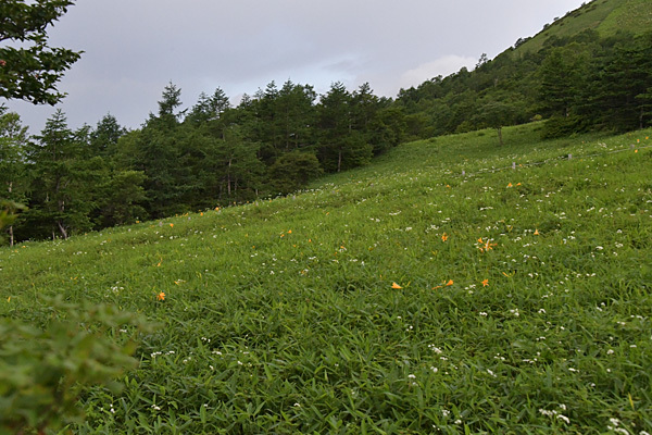 a0278809_11284677.jpg