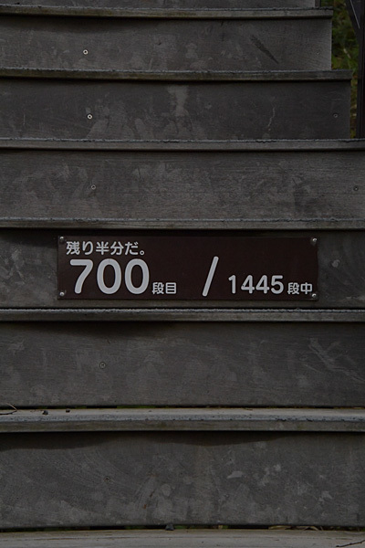 a0278809_11294944.jpg