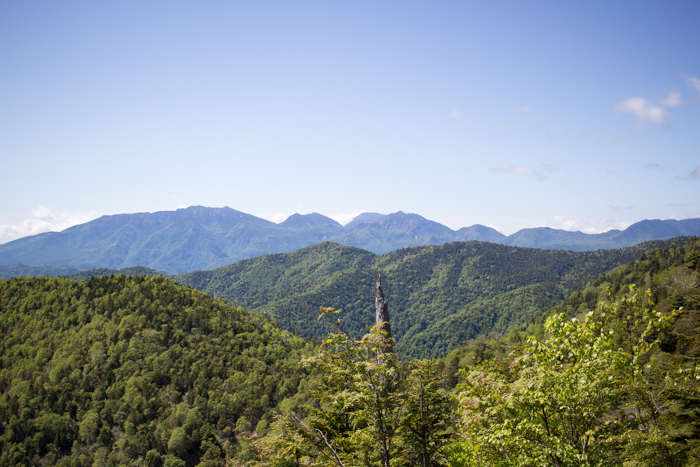 b0244811_23351254.jpg