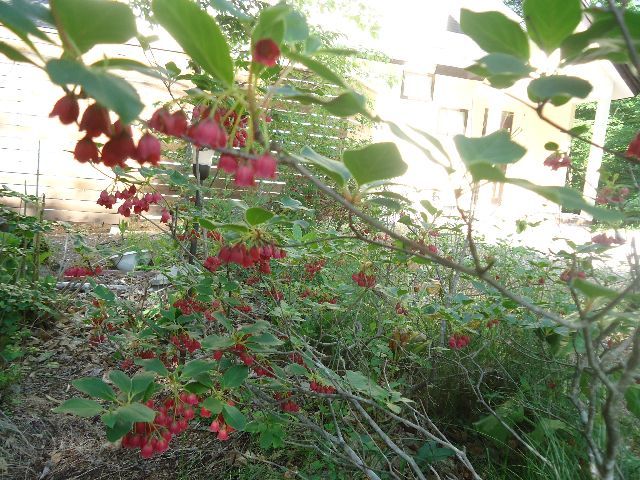 b0248920_07042161.jpg