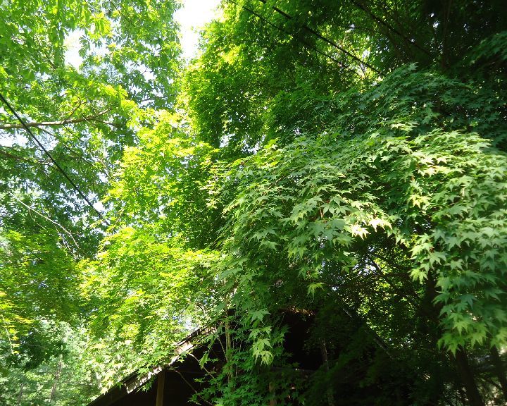 b0248920_07092250.jpg