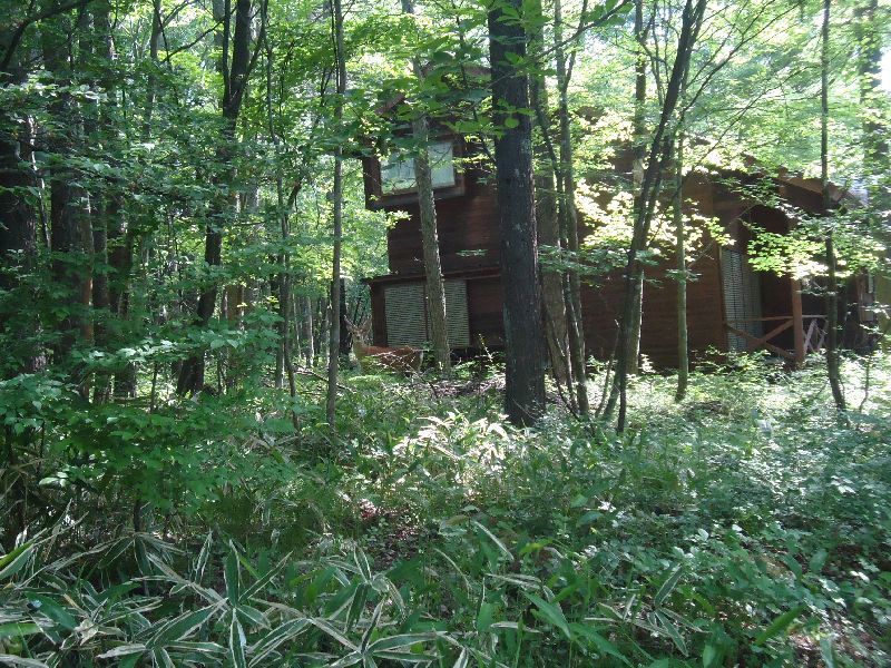b0248920_07130554.jpg