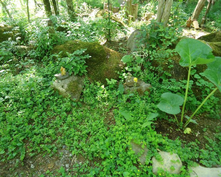 b0248920_07144029.jpg