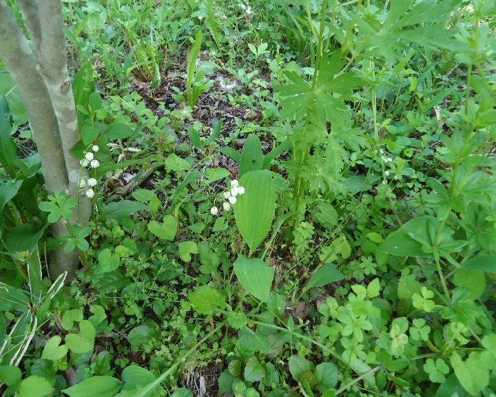 b0248920_07295549.jpg