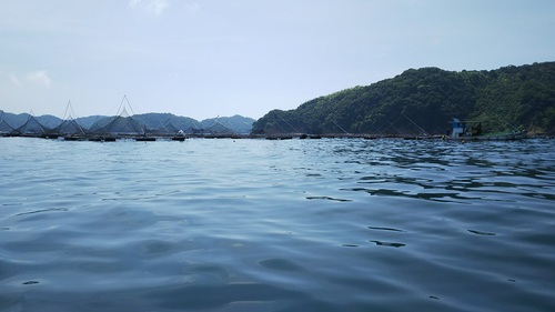 e0172921_2144779.jpg