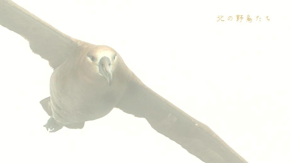 e0266021_18425318.jpg
