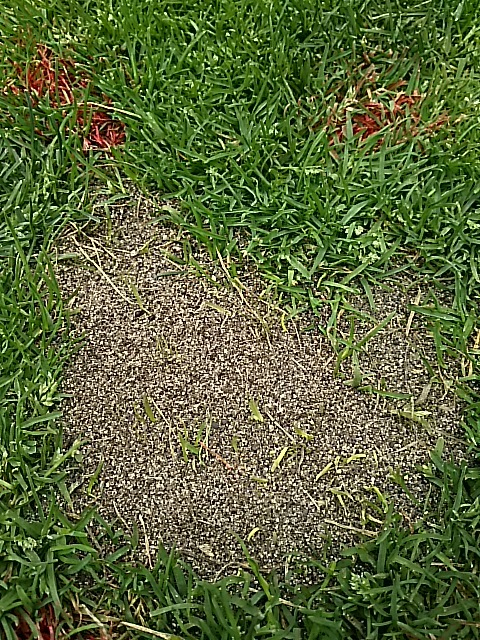 f0227321_19053180.jpg