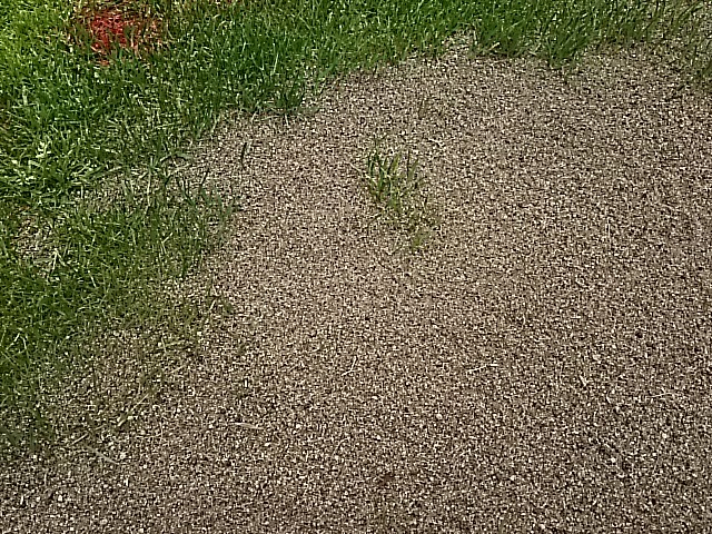f0227321_19094250.jpg