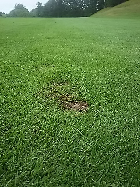 f0227321_19170182.jpg