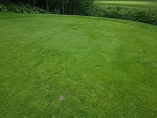f0227321_19183783.jpg