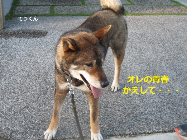 f0143123_09522762.jpg