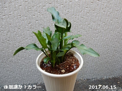 e0033229_16213063.jpg