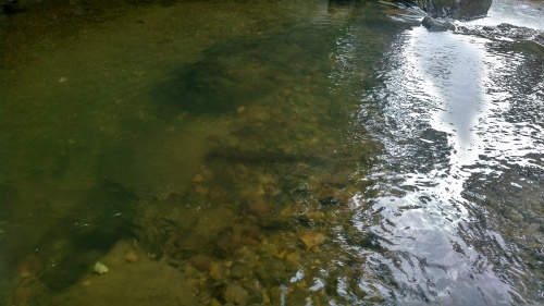 c0337631_21014388.jpg