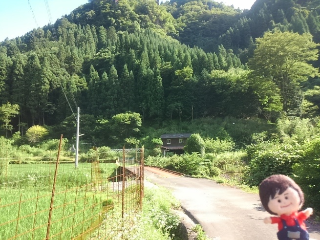 d0244839_10482502.jpg
