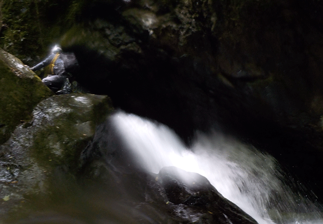 e0371039_12365046.gif