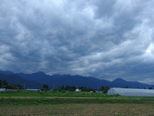 a0014840_207569.jpg