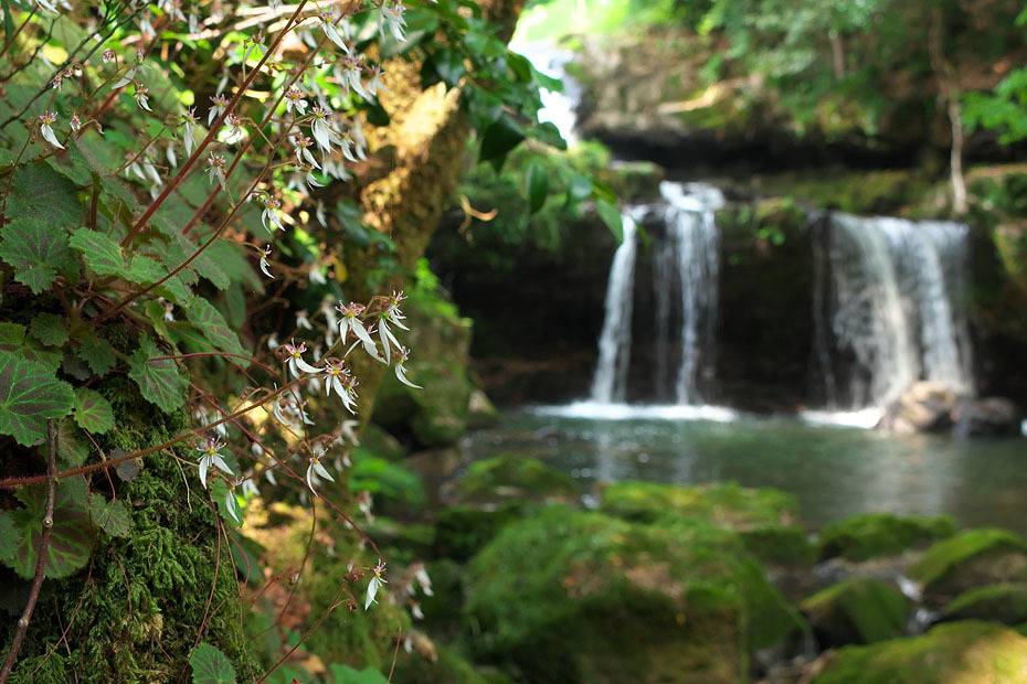 c0067040_23075540.jpg