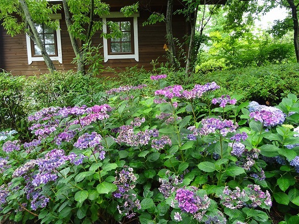 b0299042_08034547.jpg