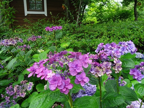 b0299042_08035472.jpg