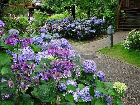 b0299042_08041084.jpg