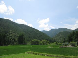 a0054948_745344.jpg