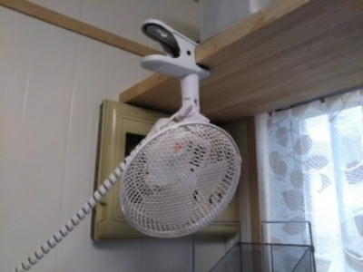 c0330749_15562465.jpg