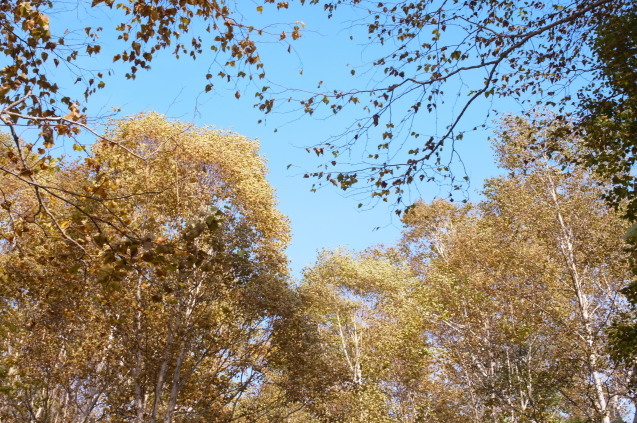a0288155_18111093.jpg
