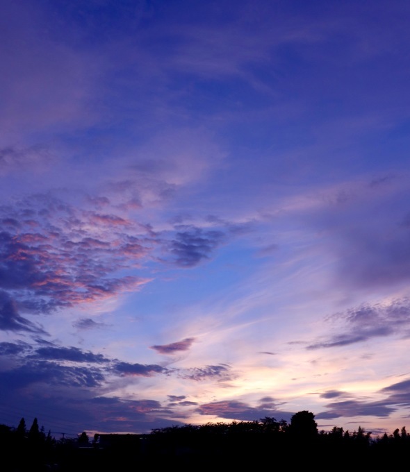 a0248459_14061350.jpg