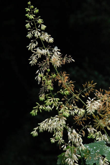 a0248459_14135390.jpg