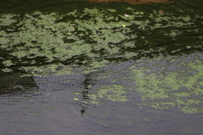 a0248459_14143513.jpg
