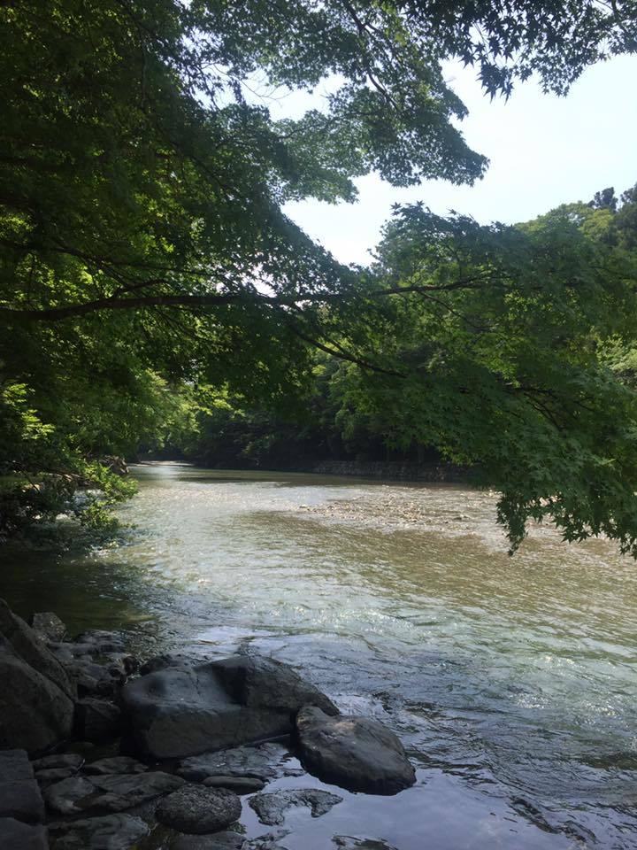 c0115560_15232911.jpg