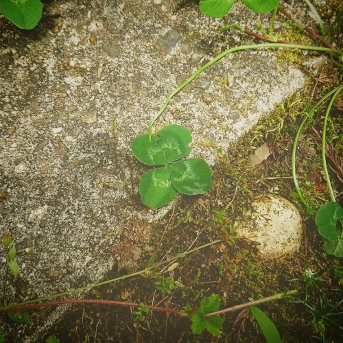 b0346961_17540460.jpg