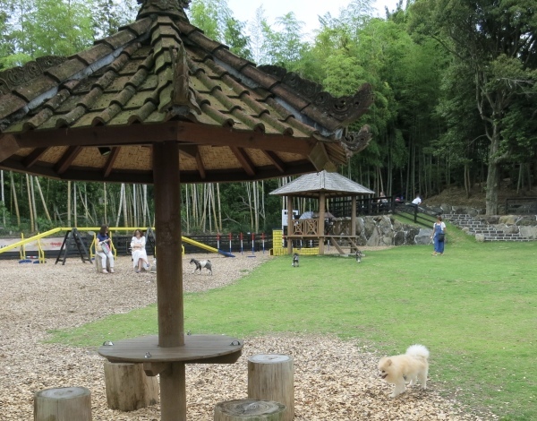 f0363961_14361418.jpeg
