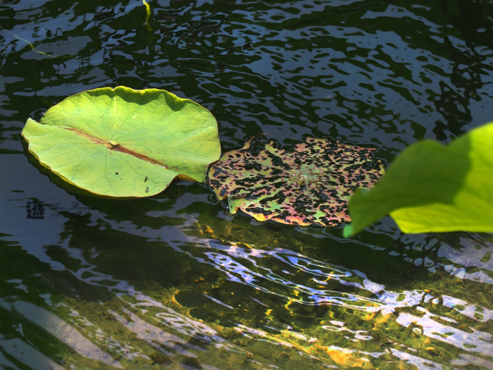a0330864_20245210.jpg