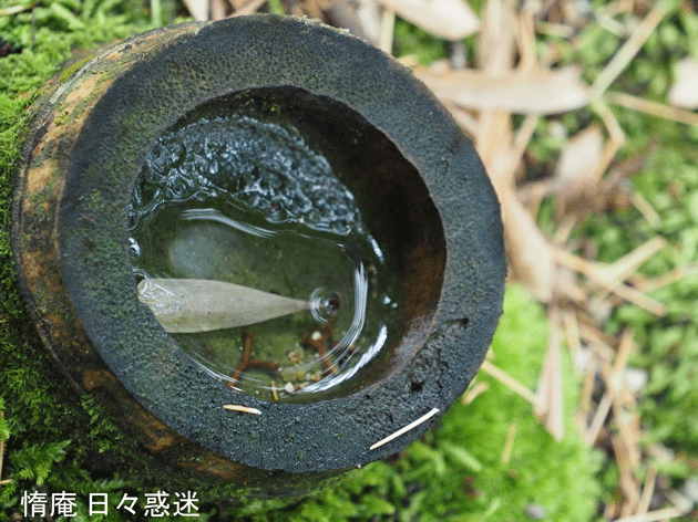 e0346064_15313633.gif
