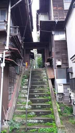 e0020682_10235341.jpg