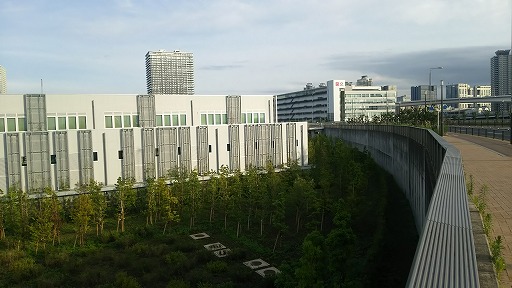 e0020682_1137976.jpg