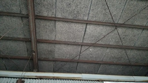 e0020682_115659.jpg
