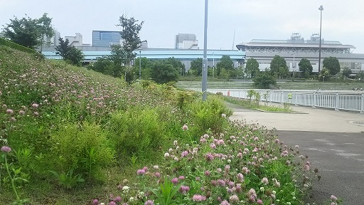 e0020682_1291944.jpg