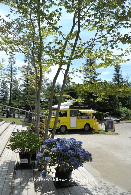 f0377688_08471831.jpg