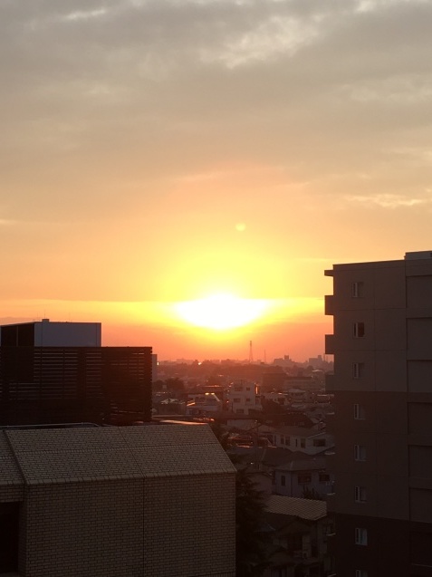 d0354191_20350431.jpeg
