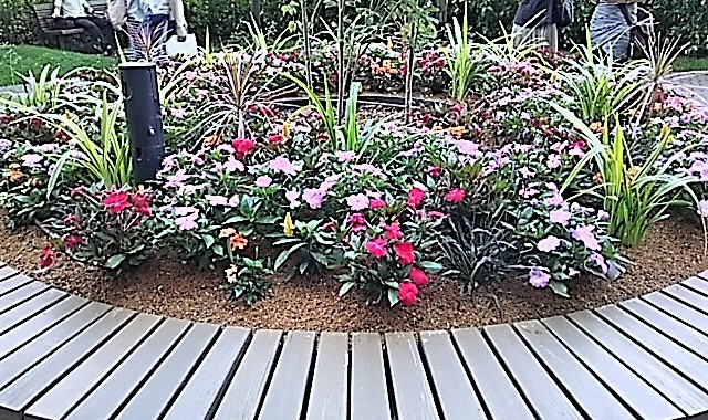 f0303594_01363460.jpg