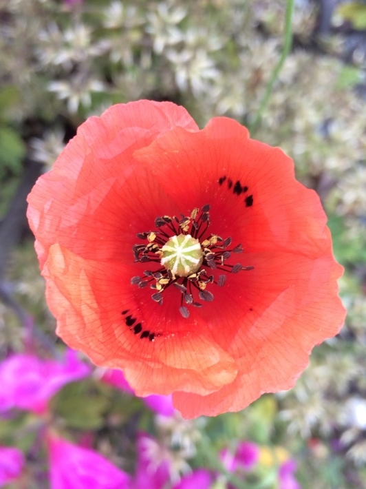 f0201297_09283253.jpg