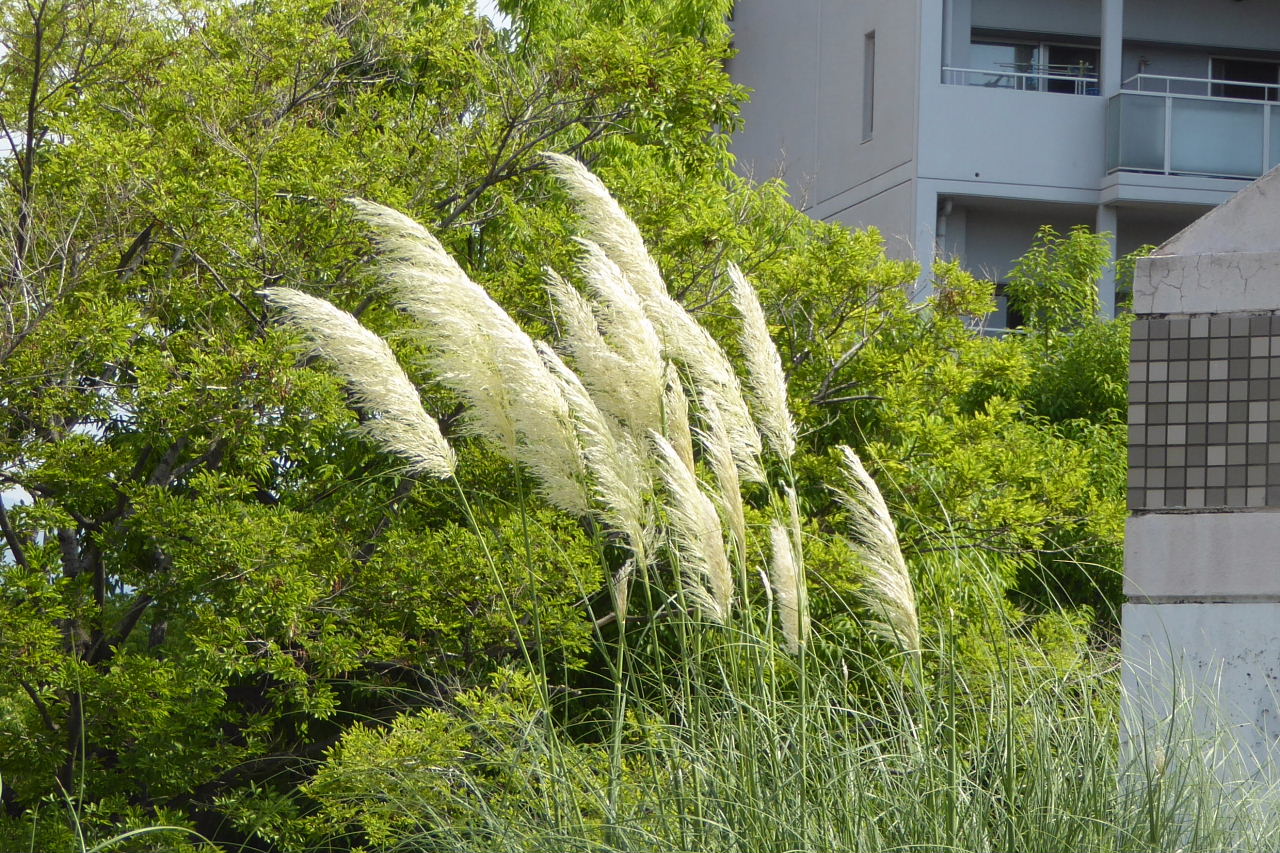 d0261298_0412084.jpg